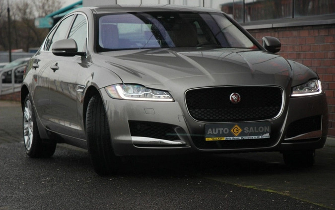 Jaguar XF cena 125990 przebieg: 23000, rok produkcji 2018 z Łasin małe 781